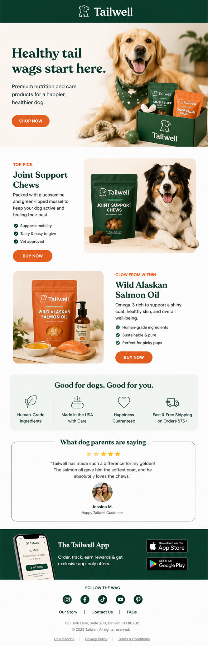 Tailwell — Product launch
